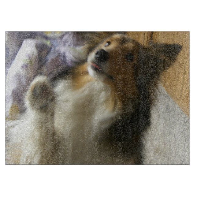 Shetland Sheepdog Begging Cutting Board (Front)