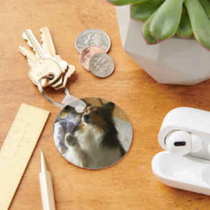 Shetland Sheepdog Begging Key Ring