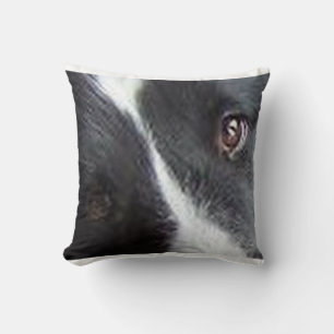 shetland sheepdog black and white eyes cushion