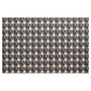 shetland sheepdog black and white fabric