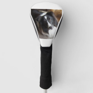 Shetland Sheepdog Black and White Golf Head Cover