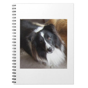 Shetland Sheepdog Black and White Notebook