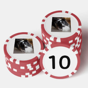 Shetland Sheepdog Black and White Poker Chips