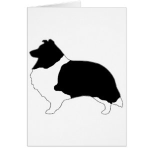 shetland sheepdog black and white silo