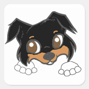 Shetland Sheepdog Black Tri Peeking Cartoon Square Sticker