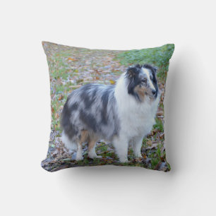 Shetland Sheepdog Blue Merle Cushion