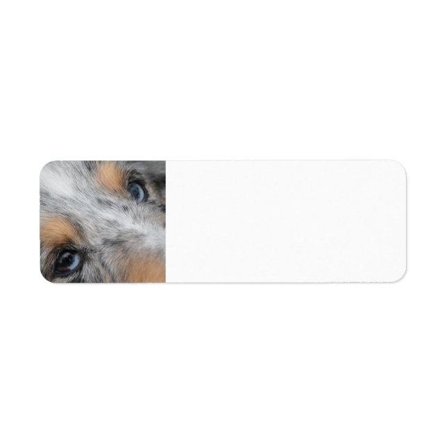Shetland Sheepdog Blue Merle Eyes Return Address Label (Front)