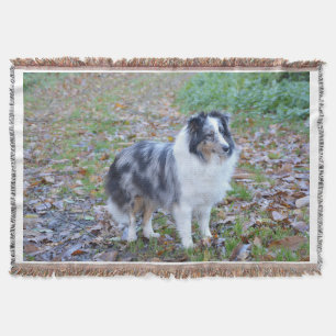 Shetland Sheepdog Blue Merle Throw Blanket