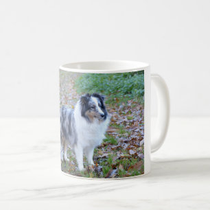 shetland-sheepdog-blue merle white tan full coffee mug