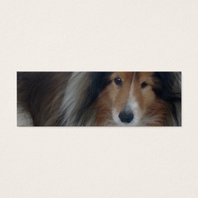 Shetland Sheepdog Bookmark (Front)