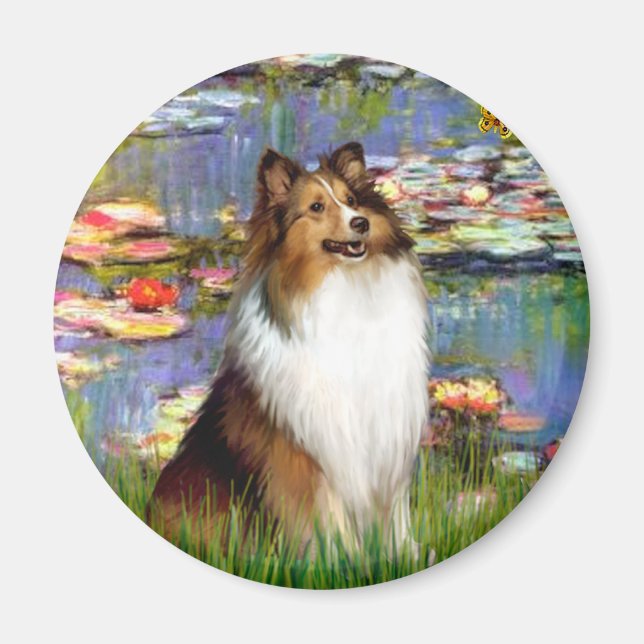 Shetland Sheepdog (Bz) - Lilies 2 Magnet (Front)
