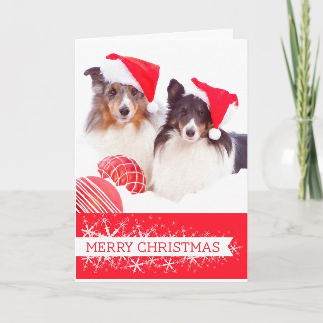 Shetland Sheepdog Christmas Greeting Card (Front)
