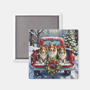 Shetland Sheepdog Christmas Red Truck Holiday Magnet