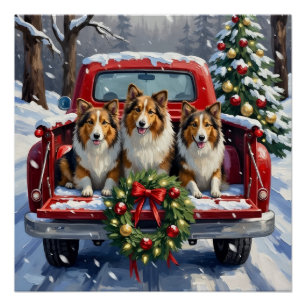 Shetland Sheepdog Christmas Red Truck Holiday Poster