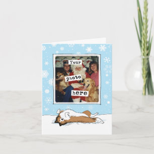 Shetland Sheepdog Christmas Sheltie Your Photo Holiday Card