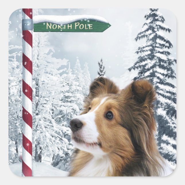Shetland Sheepdog Christmas Square Sticker (Front)