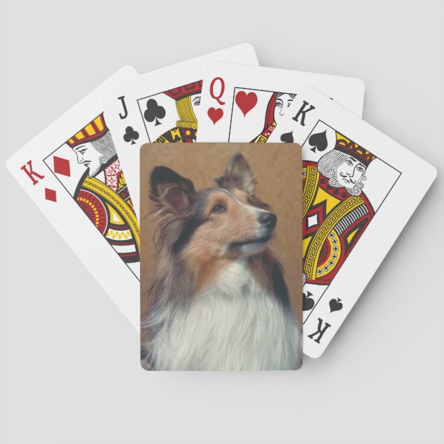 Shetland Sheepdog Dog Playing Cards (Back)