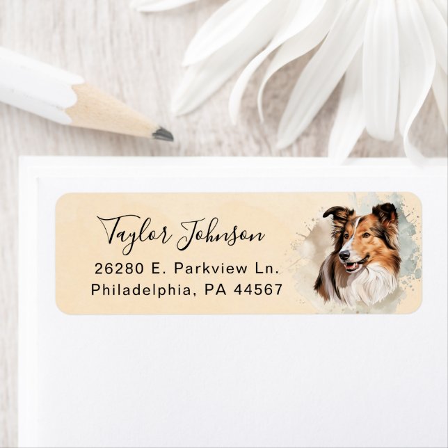 Shetland Sheepdog Dog Return Address Label (Insitu)
