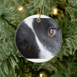 Shetland Sheepdog Eyes Ceramic Ornament