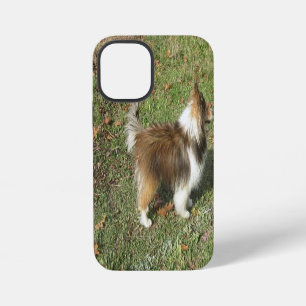 Shetland Sheepdog Full Second iPhone 12 Mini Case