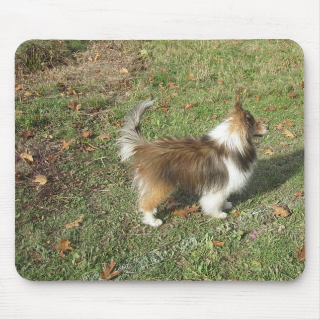 Shetland Sheepdog Full Second Mouse Pad (Front)