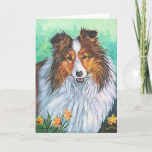 Shetland Sheepdog Greeting Cards