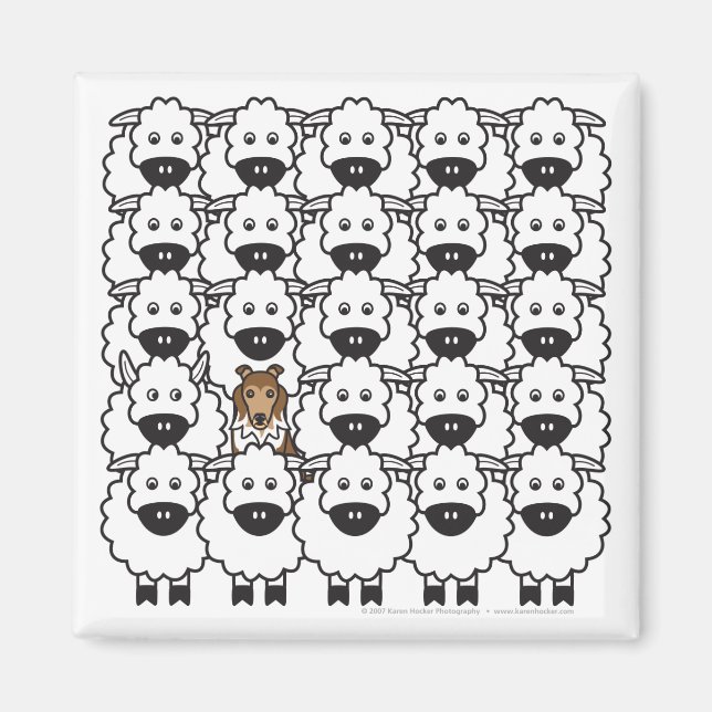 Shetland Sheepdog in the Sheep Magnet (Front)