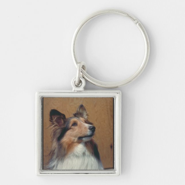 Shetland Sheepdog Key Ring (Front)