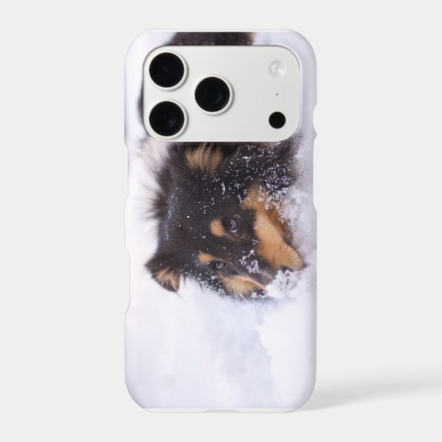 Shetland Sheepdog Laying In Snow (Back)