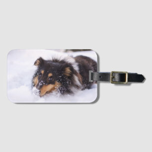 Shetland Sheepdog Laying In Snow Luggage Tag