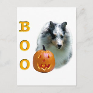 Shetland Sheepdog (merle) Boo Postcard