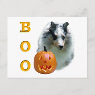 Shetland Sheepdog (merle) Boo Postcard