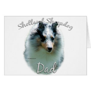 Shetland Sheepdog (merle) Dad 2