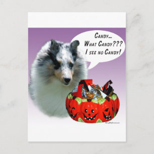 Shetland Sheepdog (Merle) HalloweenCandy Postcard