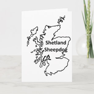 Shetland Sheepdog Name In Origin Card