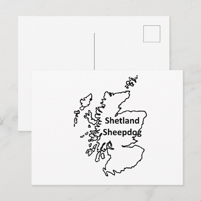 Shetland Sheepdog Name In Origin Postcard (Front/Back)