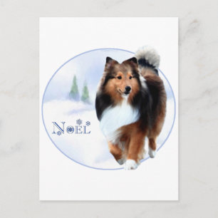 Shetland Sheepdog Noel Holiday Postcard