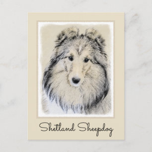 Shetland Sheepdog Painting - Cute Original Dog Art Postcard