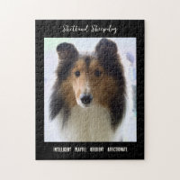 Shetland Sheepdog Photo Dog Breed