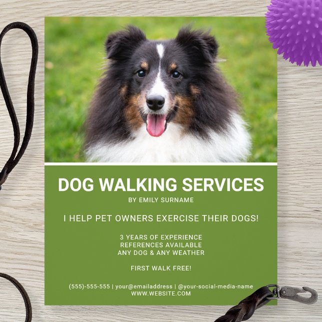 Shetland Sheepdog Photo Green Dog Walker Template Flyer (Creator Uploaded)