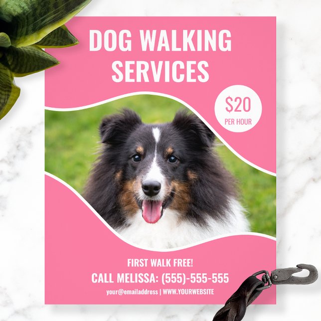 Shetland Sheepdog Photo - Pink Dog Walking Service Flyer (Creator Uploaded)