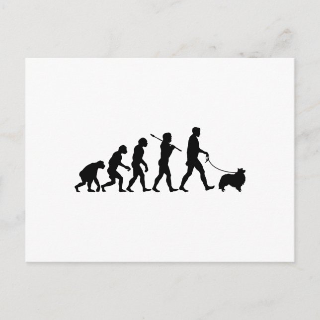 Shetland Sheepdog Postcard (Front)