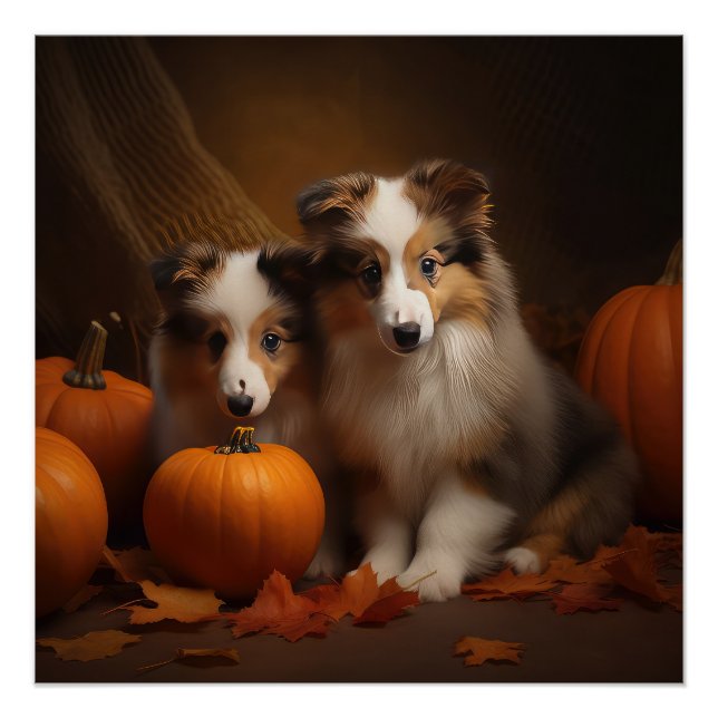 Shetland Sheepdog Puppy Autumn Delight Pumpkin  Poster (Front)