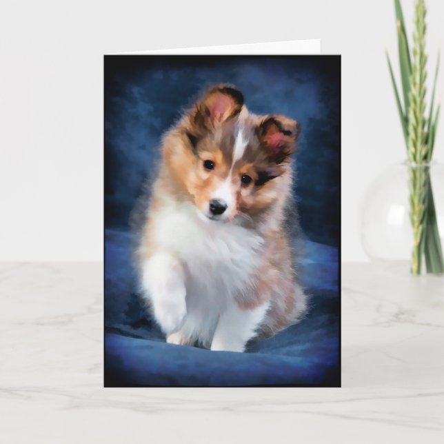 Shetland Sheepdog Puppy Greeting Card (Front)