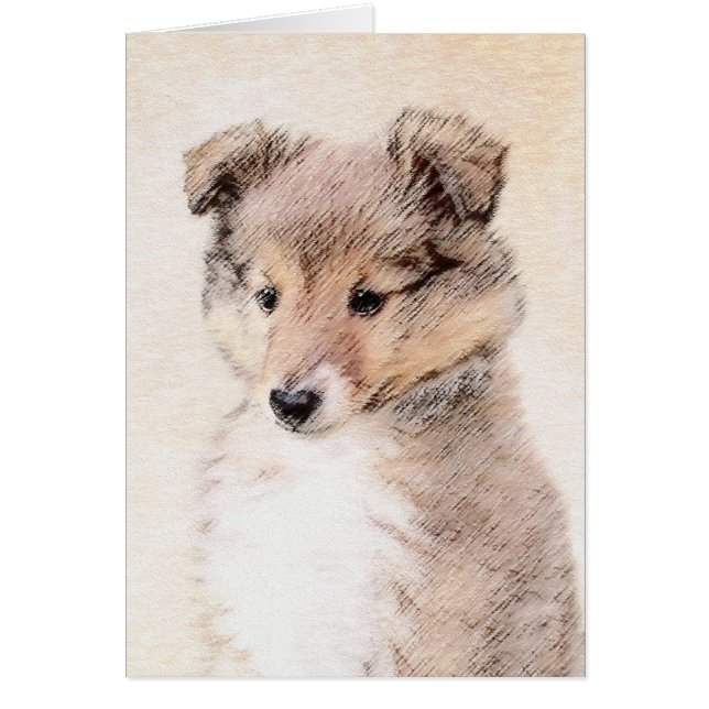 Shetland Sheepdog Puppy Painting Original Dog Art (Front)