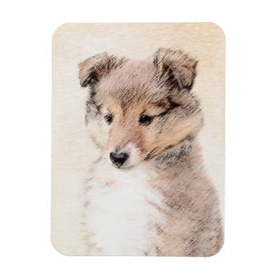 Shetland Sheepdog Puppy Painting Original Dog Art Magnet