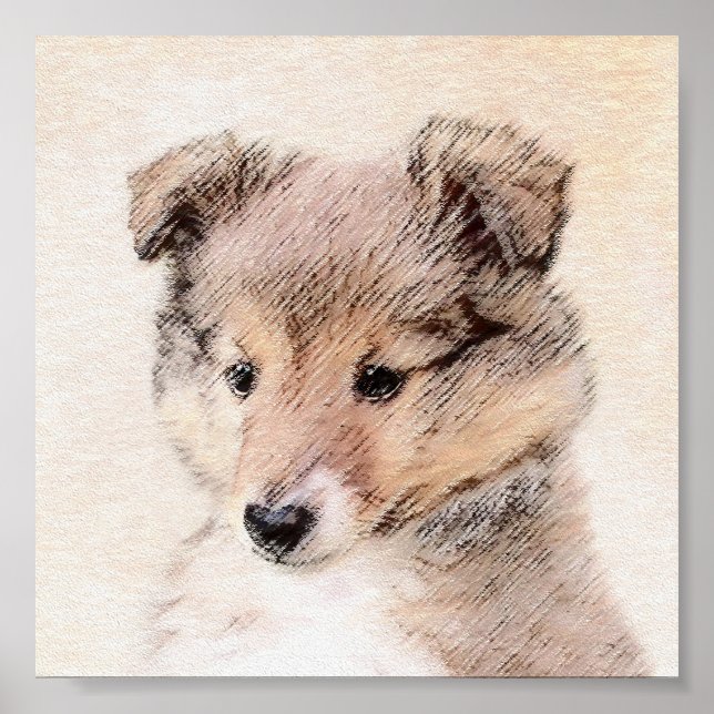 Shetland Sheepdog Puppy Painting Original Dog Art Poster (Front)