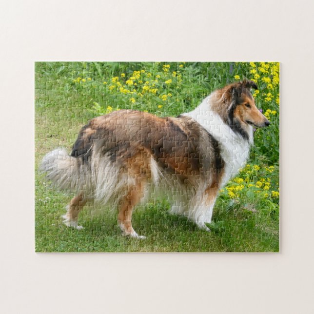 Shetland Sheepdog - Sheltie Dog Jigsaw Puzzle (Horizontal)