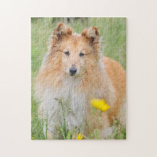 Shetland Sheepdog - Sheltie Dog Jigsaw Puzzle (Vertical)