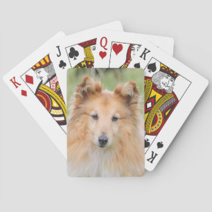 Shetland Sheepdog - Sheltie Dog Playing Cards